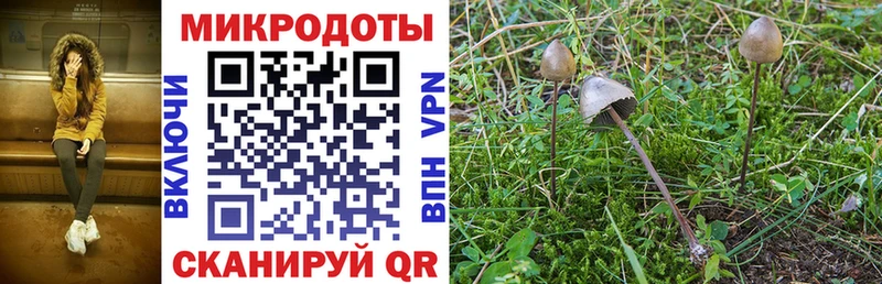что такое   Новочеркасск  Галлюциногенные грибы GOLDEN TEACHER 