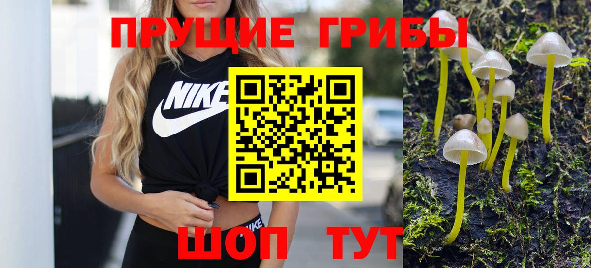Псилоцибиновые грибы Psilocybine cubensis Новочеркасск