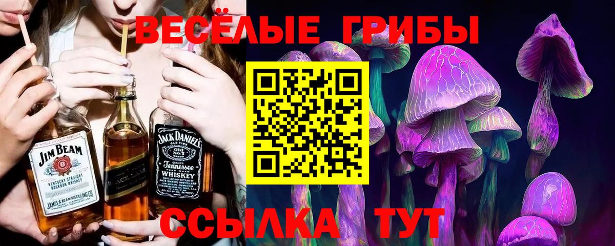 Новочеркасск  купить  сайты  Вход с VPN  Псилоцибиновые грибы GOLDEN TEACHER  Псилоцибиновые грибы прущие грибы 